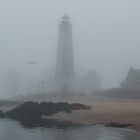 Lighthouse With Seagull