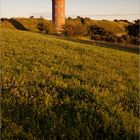 ~ lighthouse@meadow ~