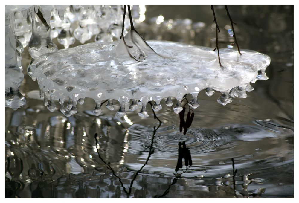 Lightness of Ice von Claudia Grube 