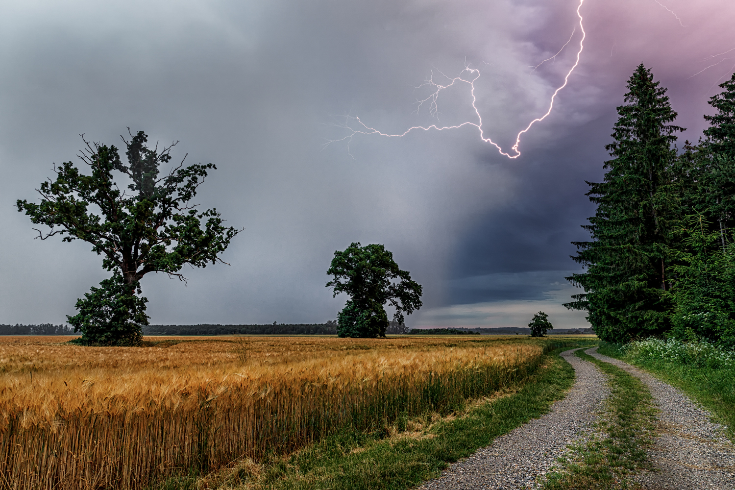 lightning in the sky