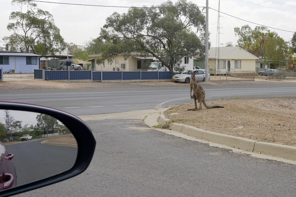 Lightning Ridge