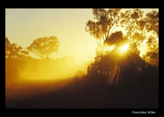 Lightning Ridge