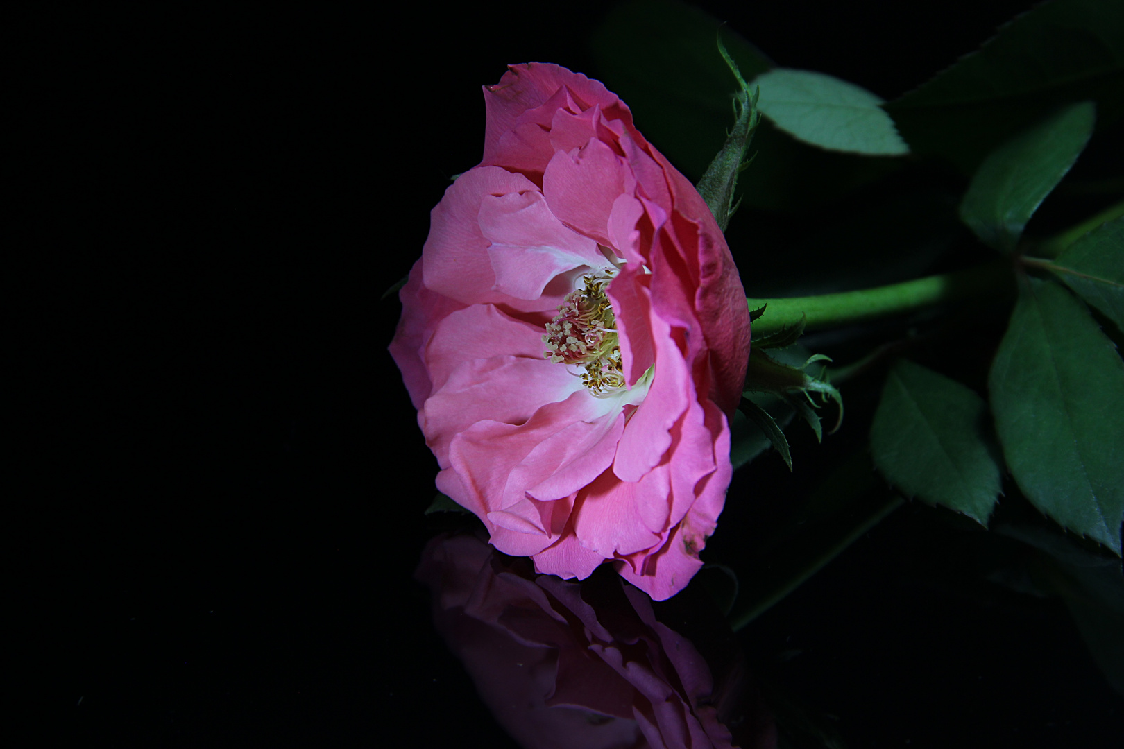 Lightpainting