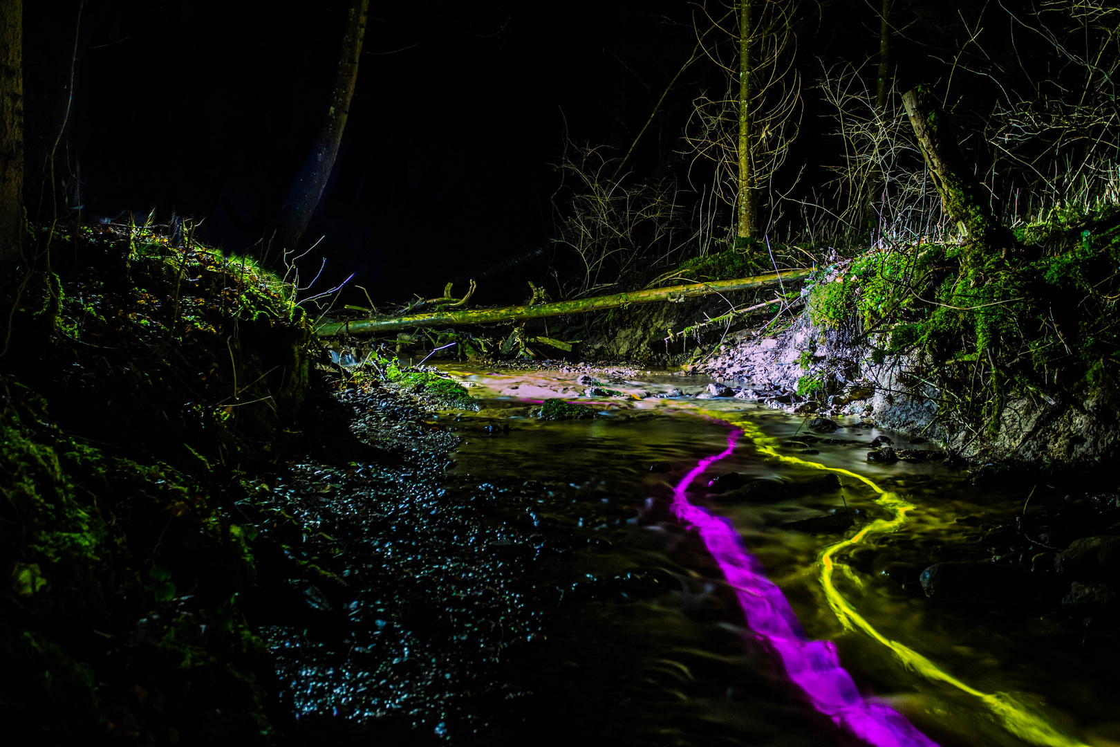 Lightpainting Bach