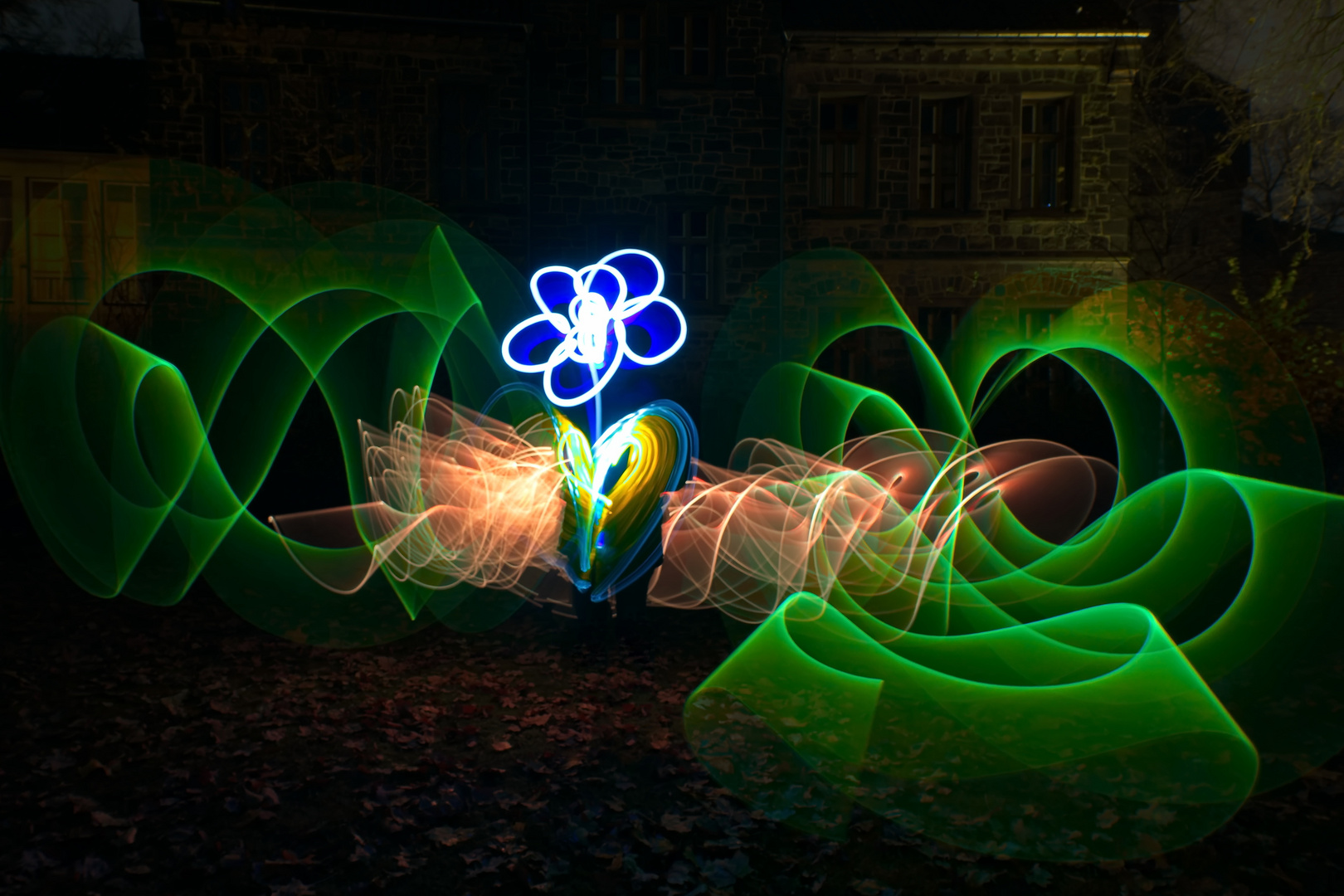 Lightpainting Blume