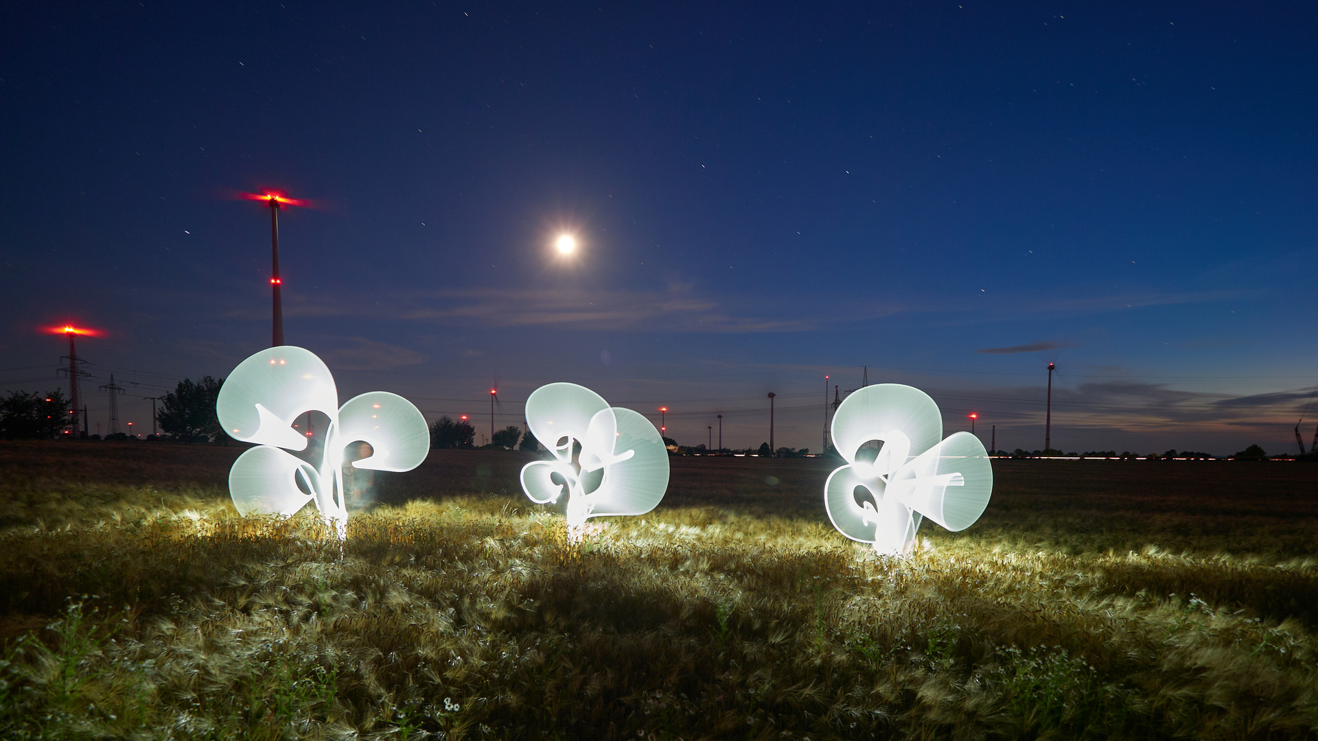 Lightpainting im Feld