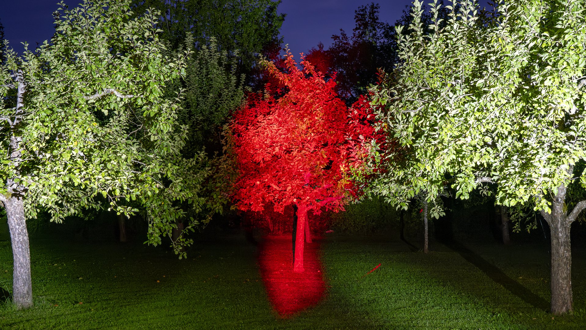 Lightpainting - Malen mit der Kamera