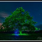 Lightpainting Reiterheide