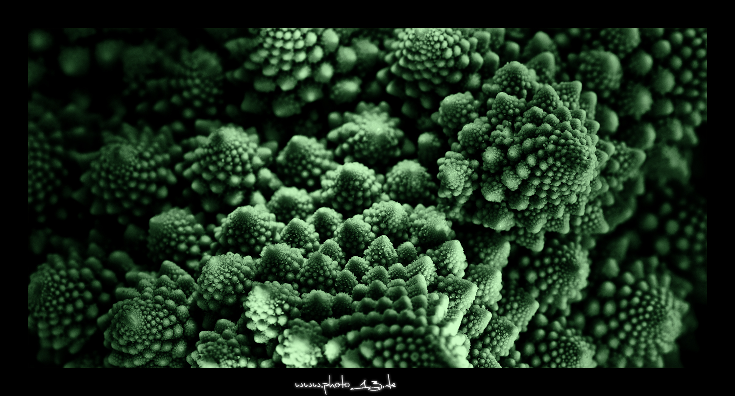 Lightpainting Romanesco