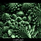 Lightpainting Romanesco