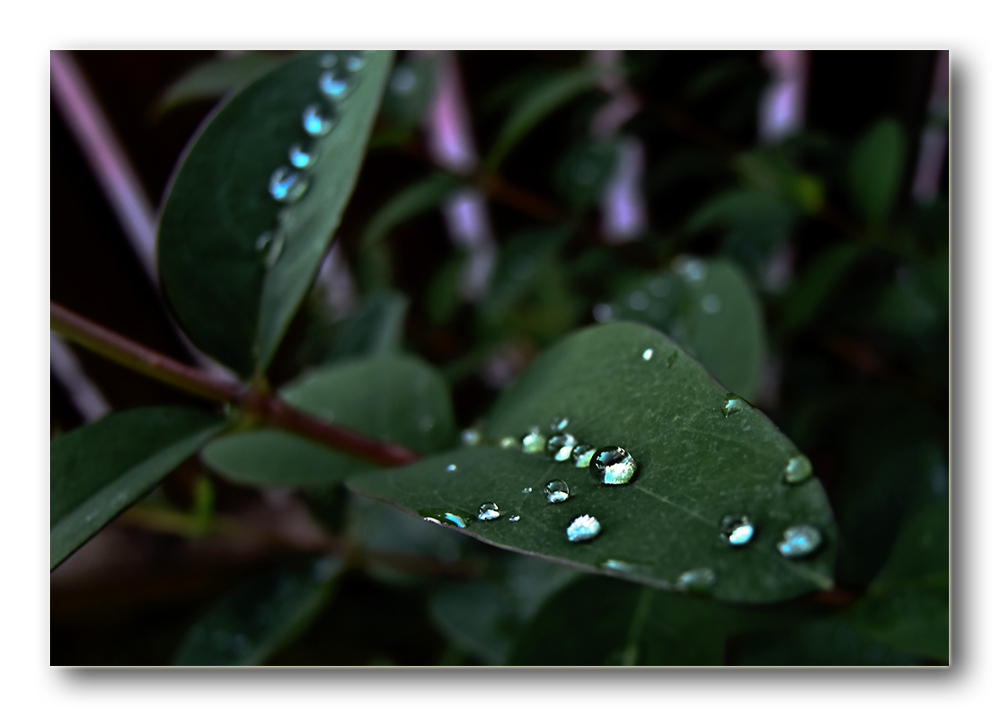 Lights and Drops