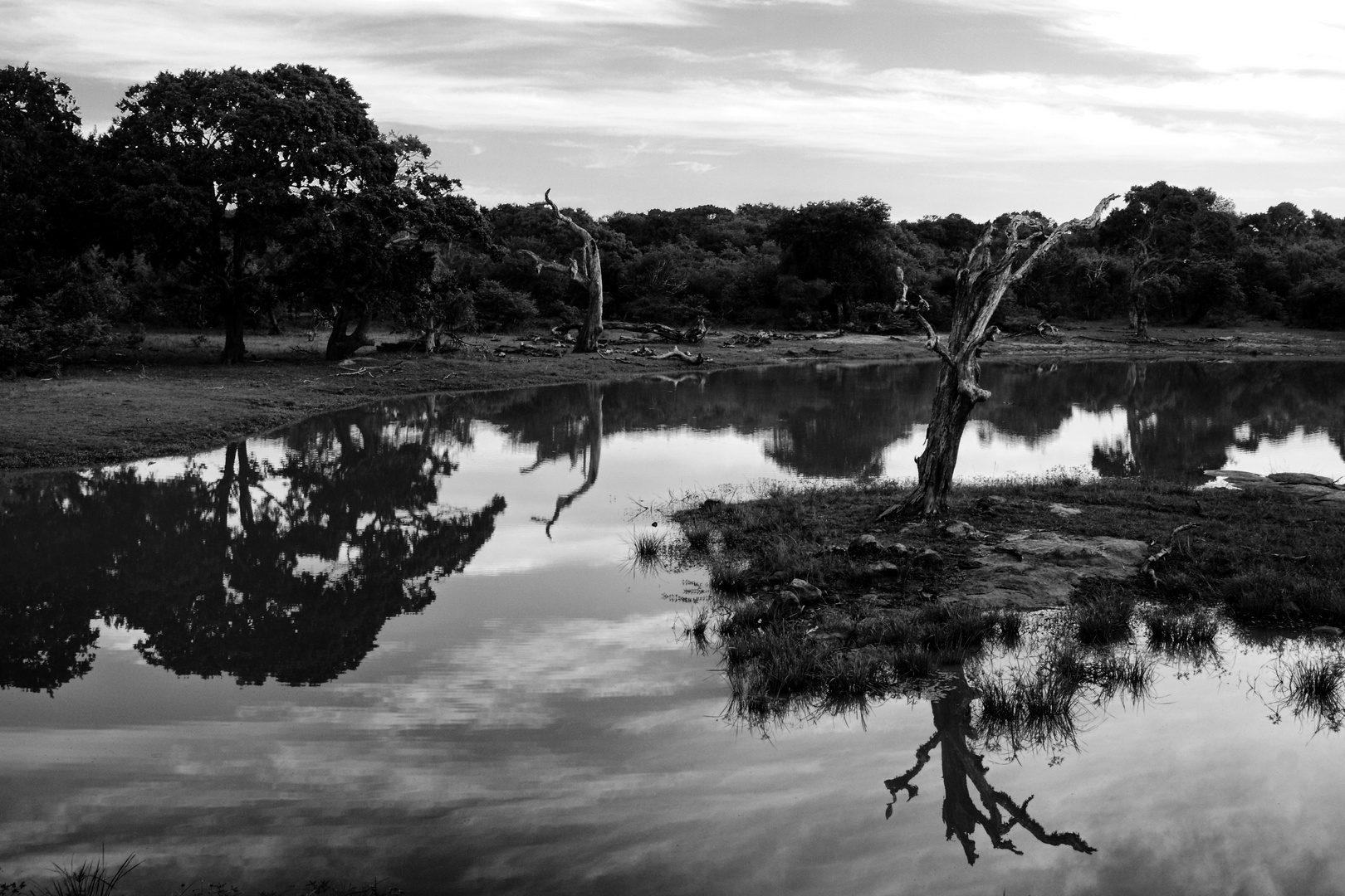 LIGHTS AND SHADOWS - YALA PARK