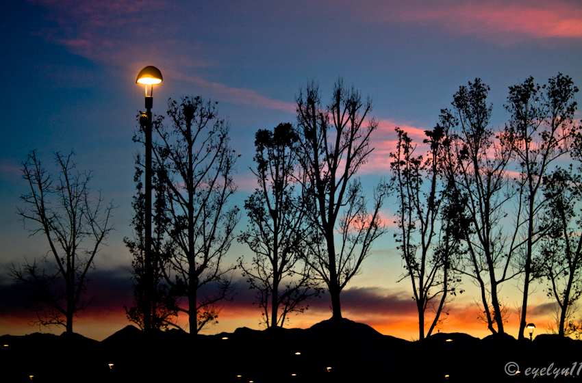 Lights & colours of night