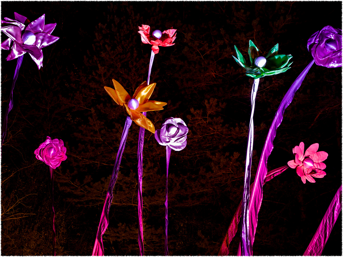 Lights Flower