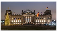 [lights of berlin - reichstag - weihnachtsbaum]