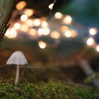 Lights on Mushroom