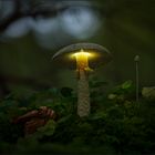 LIGHTshROOM