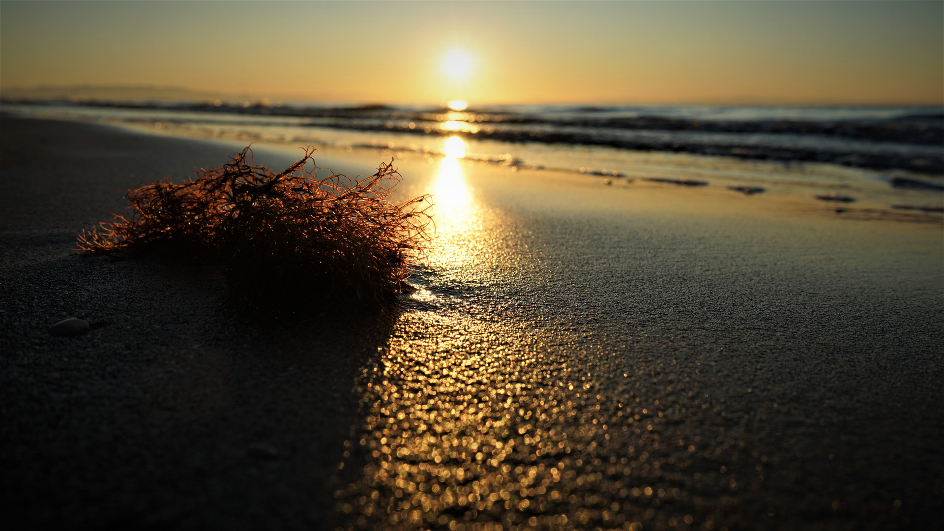 LIGNANO