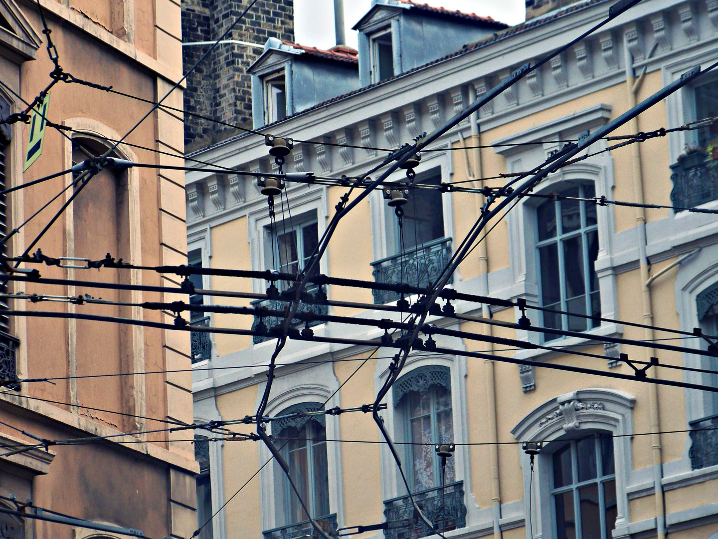 Lignes de bus.