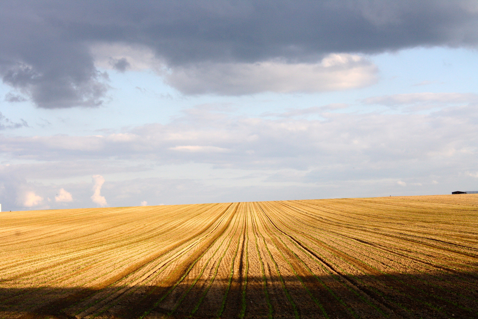 Lignes de fuite