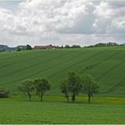 Lignes vertes sous ciel gris