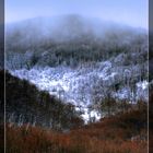 Liguria winter landscape