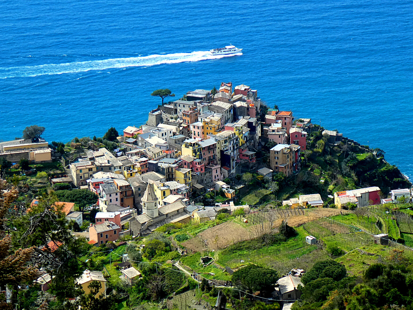 Ligurien - Cinque Terre - (1)