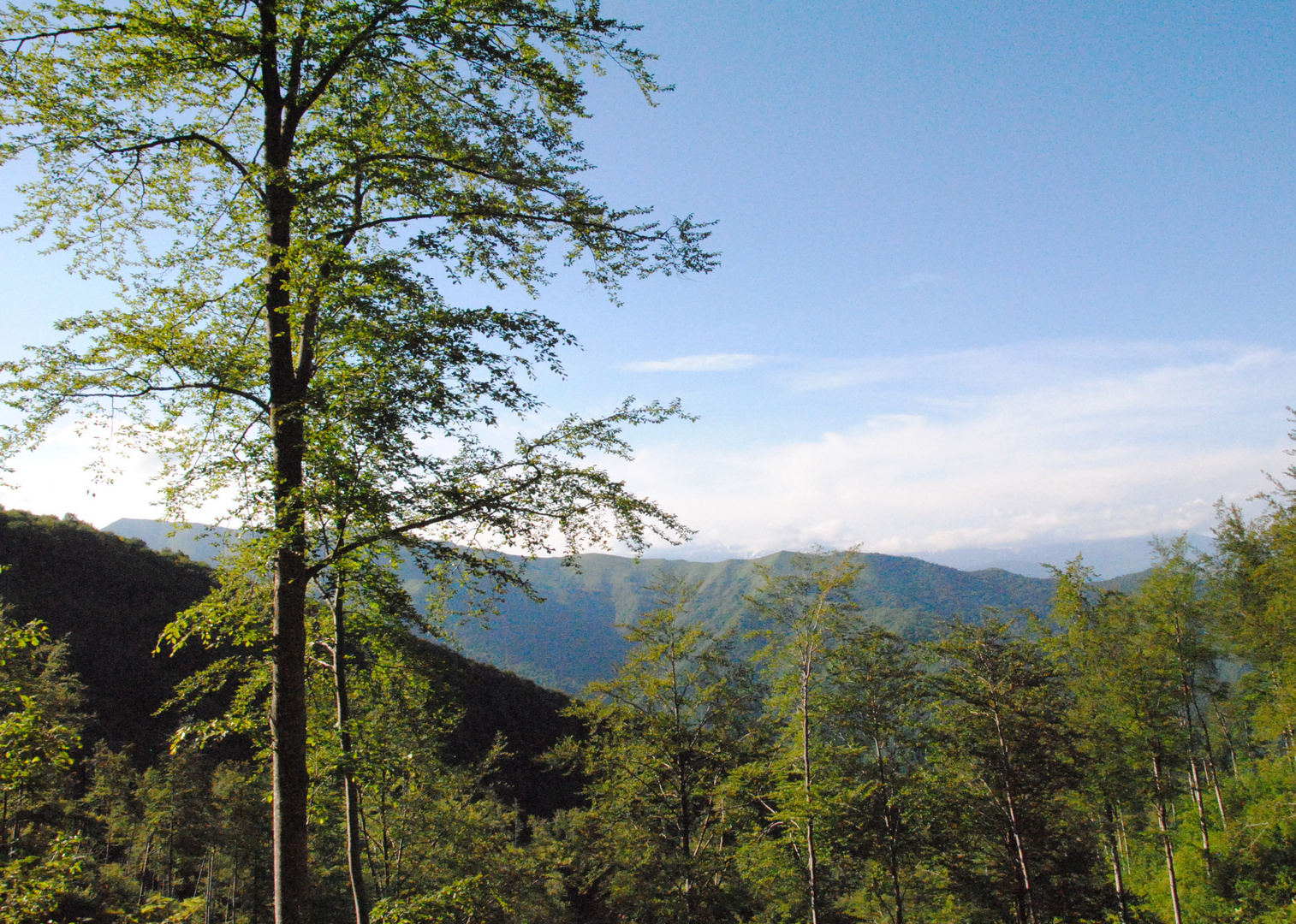 Ligurische Alpen