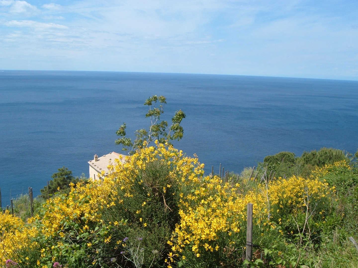 Ligurisches Meer