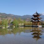 Lijiang Banyan Tree