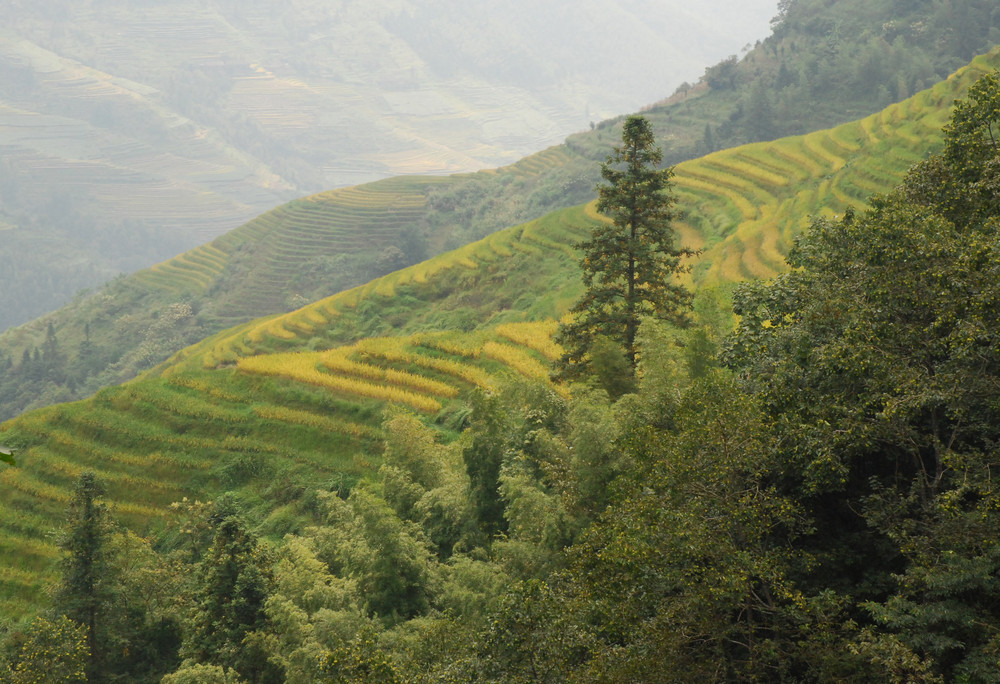 Lijong Valley