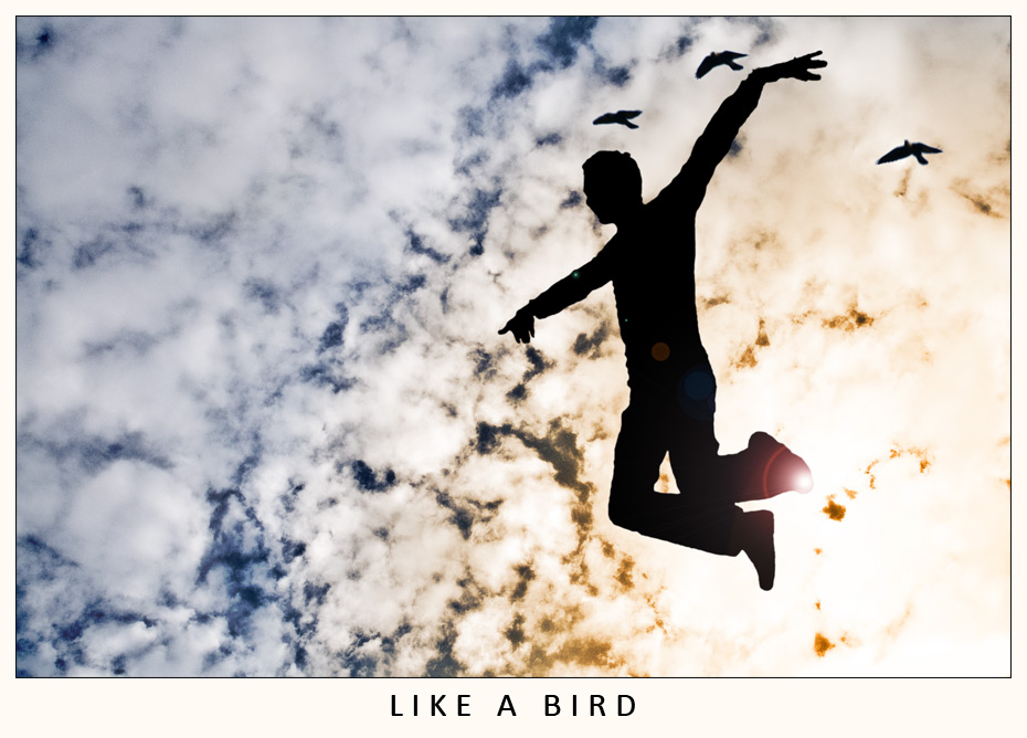 Like A Bird
