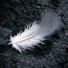 like a feather