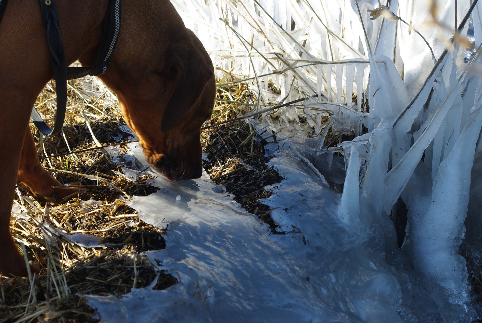 Like ice in the sun shine...