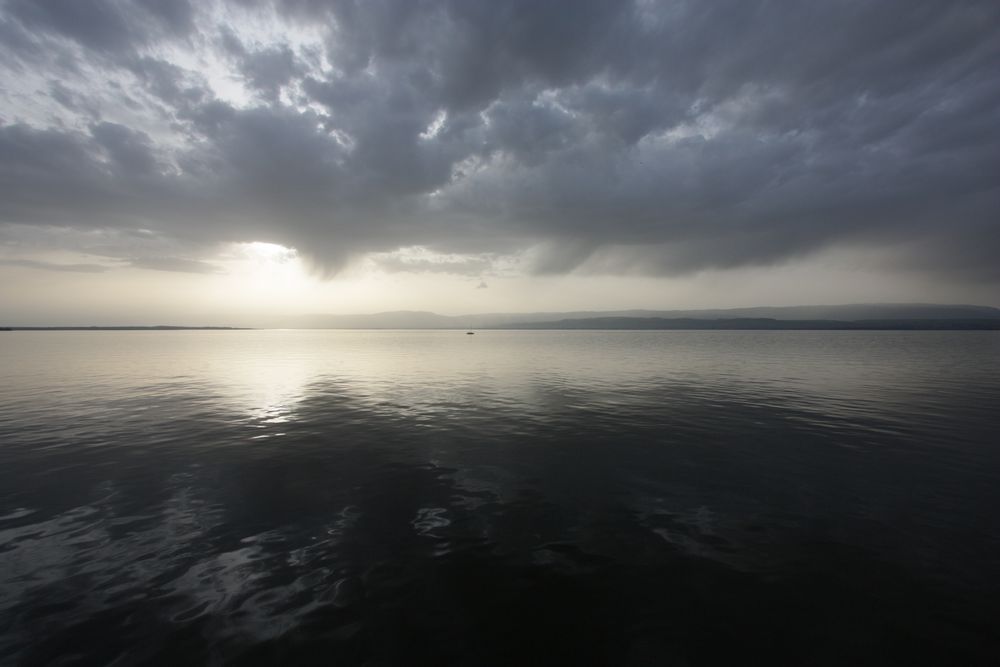 Like l'aimant... de Thierry Arrigossi 