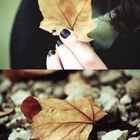 Like leaves...