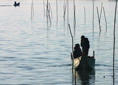 like shadows on the lake