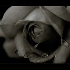 like skin