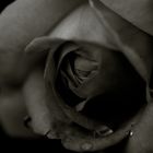Like skin