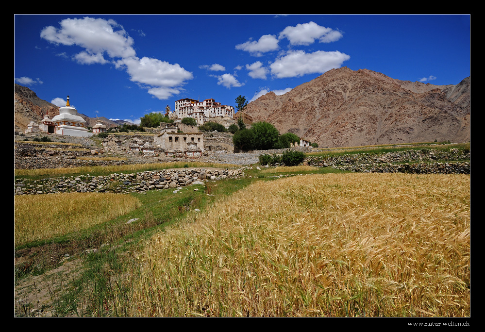 Likir Monastry