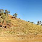 Lil´ Hill on Tanami Track