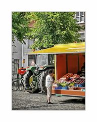 lil lady goes to market (IJzendijke)