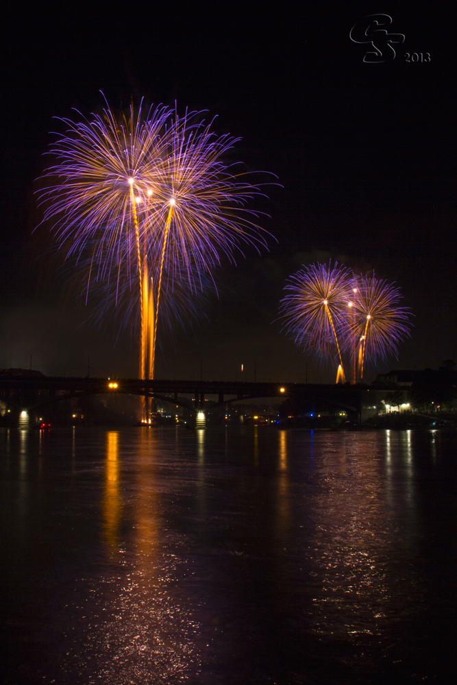 Lila Palmen am Basler 1. August Feuerwerk