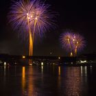 Lila Palmen am Basler 1. August Feuerwerk