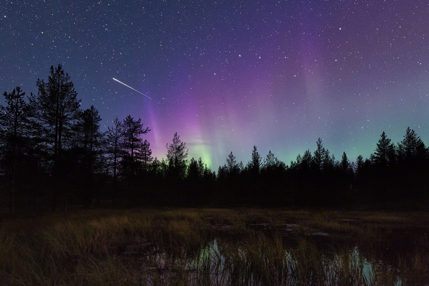 Lila Polarlicht und keine Sternschnuppe / Purple auroras and no shooting star