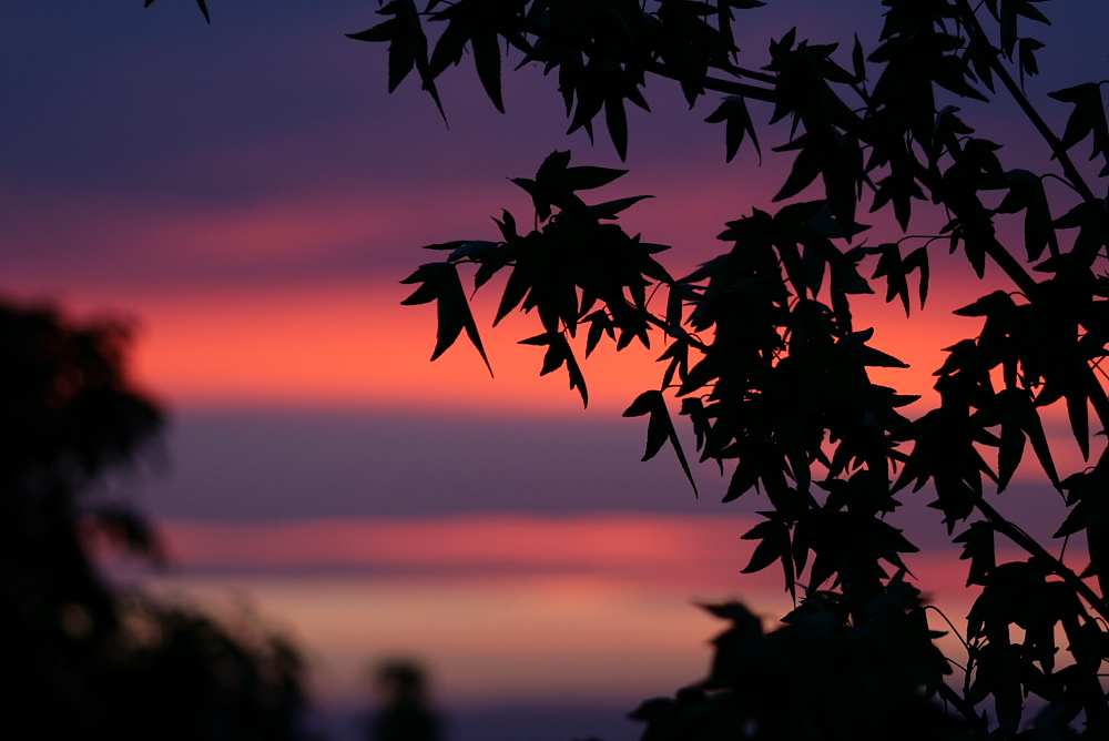 Lila Sonnenuntergang