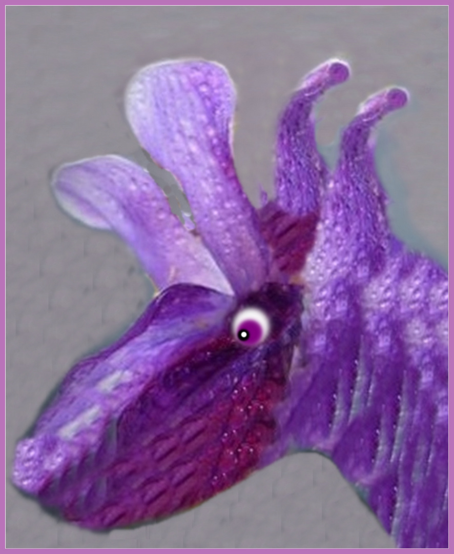 LILA Zweihorn Foto & Bild fotomontage, fantasy mystery, funmontagen