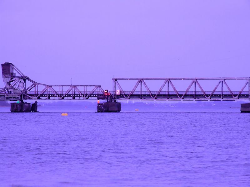 lilac bridge