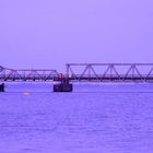 lilac bridge