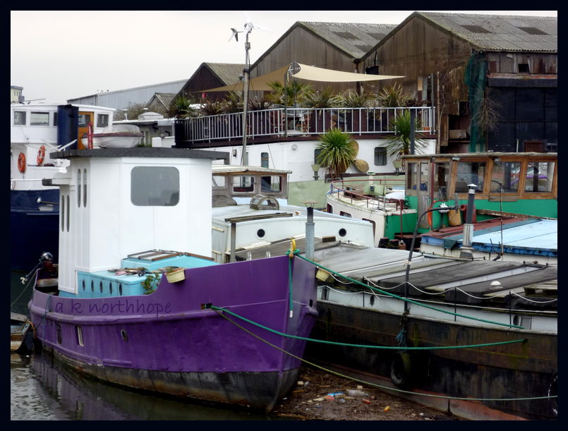 Lilac ship with Palms - East London and the whole world is Barking... woof